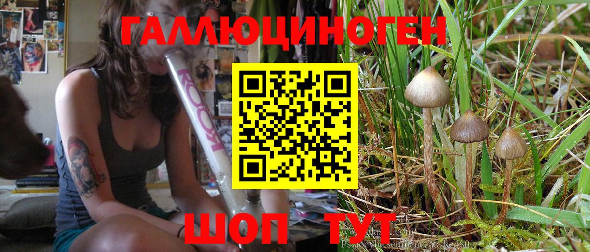 Псилоцибиновые грибы Psilocybine cubensis  Вход с VPN  наркотики  Ирбит 