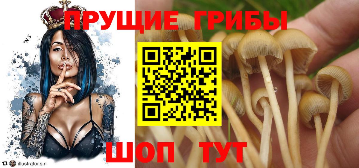 Псилоцибиновые грибы MAGIC MUSHROOMS Ирбит